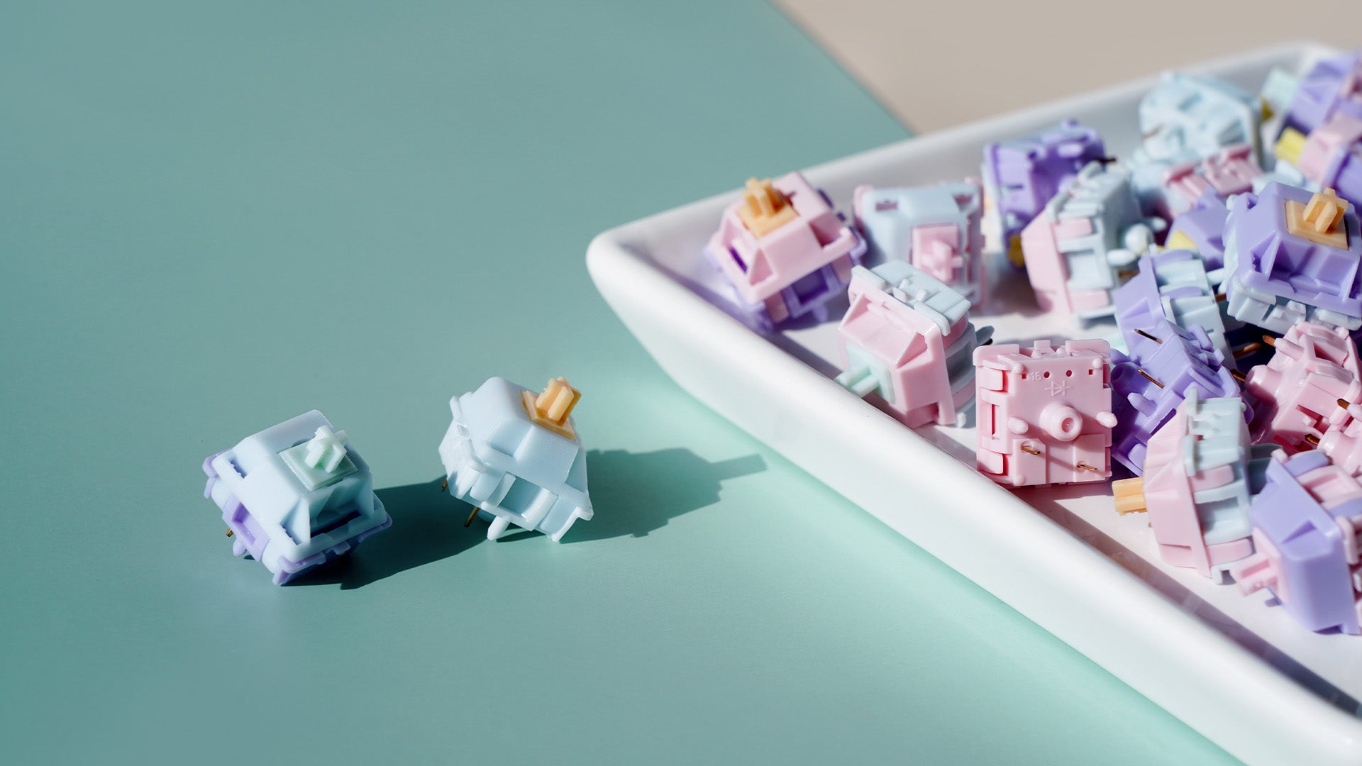 WS MMswitch Pastel Switches